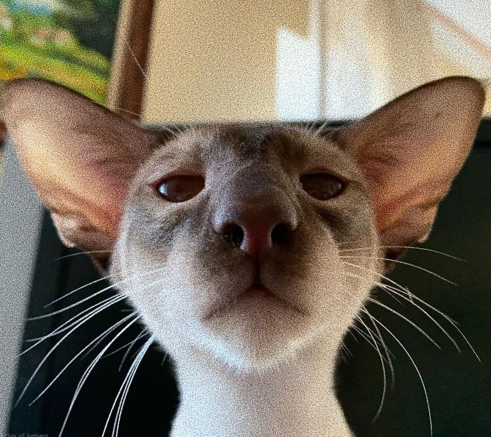 Это я. На умняке...