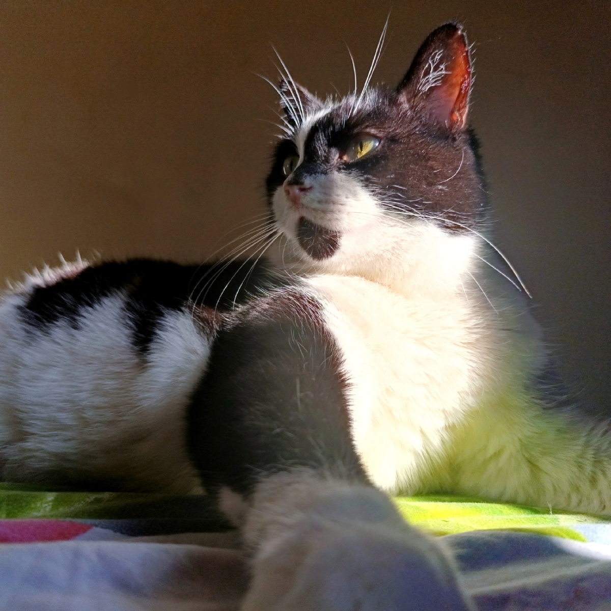 Просто Геральт в свете уходящего солнца