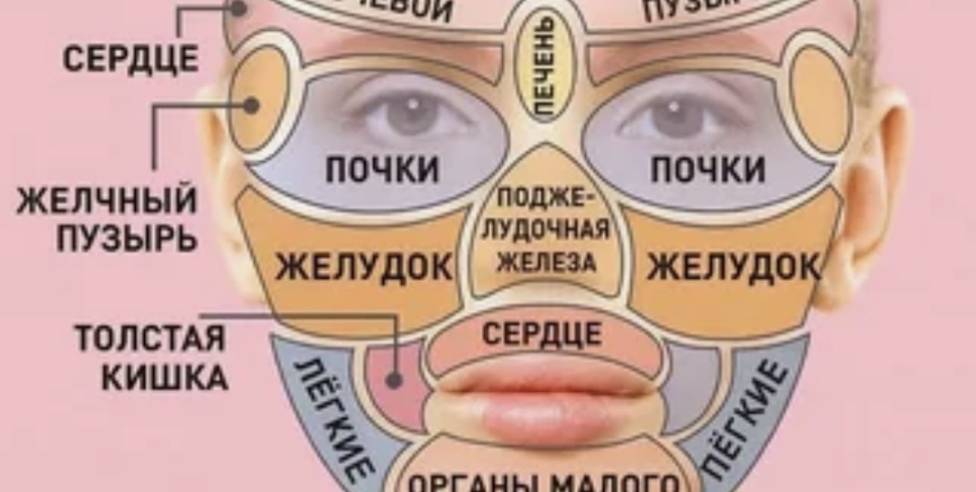 Карта здоровья на вашем лице: просто посмотрите в зеркало — что скажет ваше здоровье