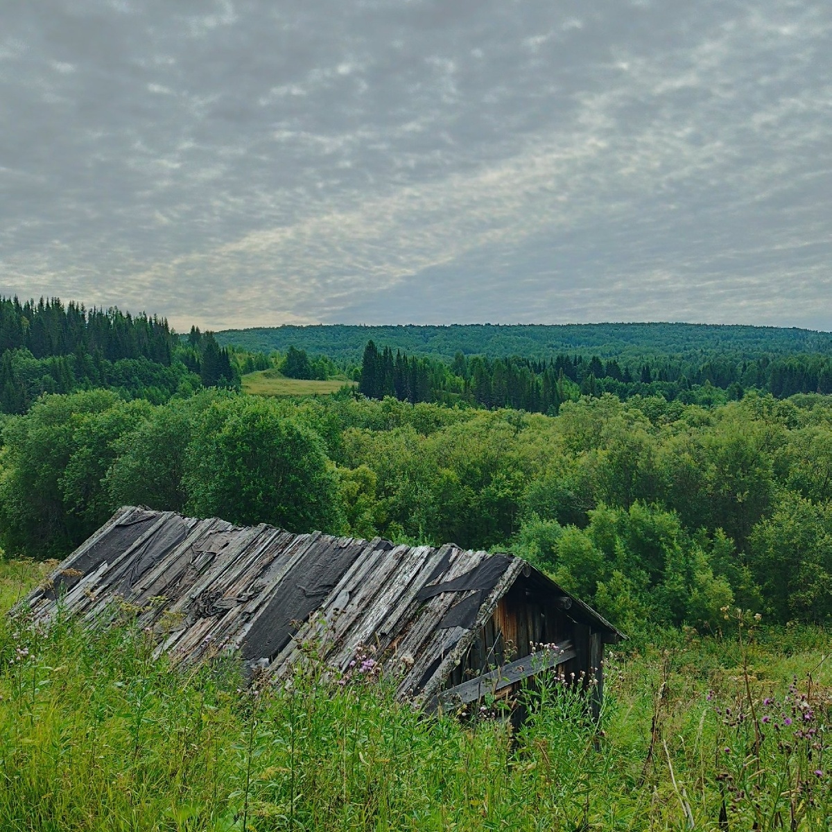 Урочище Адамово в 2024 г. (источник: https://vk.ru/wall-206843165_6890) 