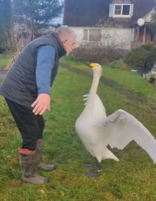 Скриншот видео