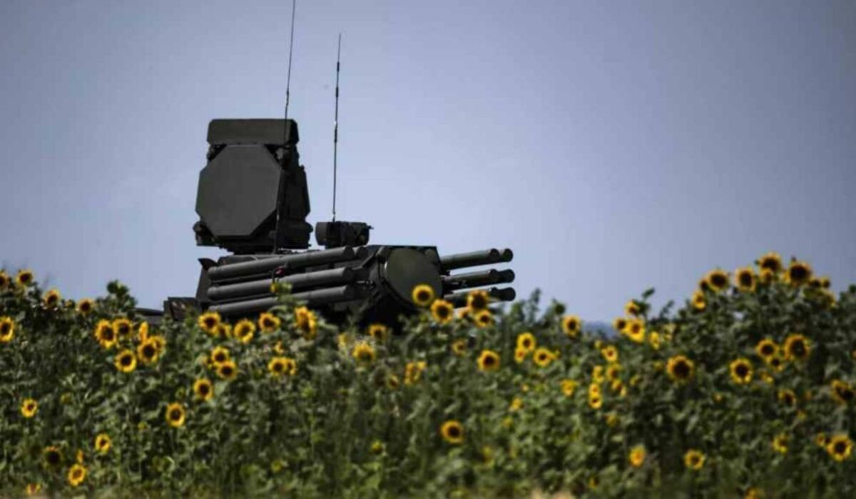     Панцирь. Источник: ria.ru Автор фото: Валентин Капустин