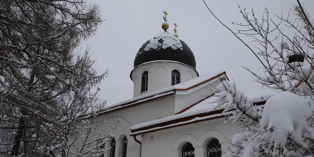 Рождественский пост: правила, питание и духовная подготовка