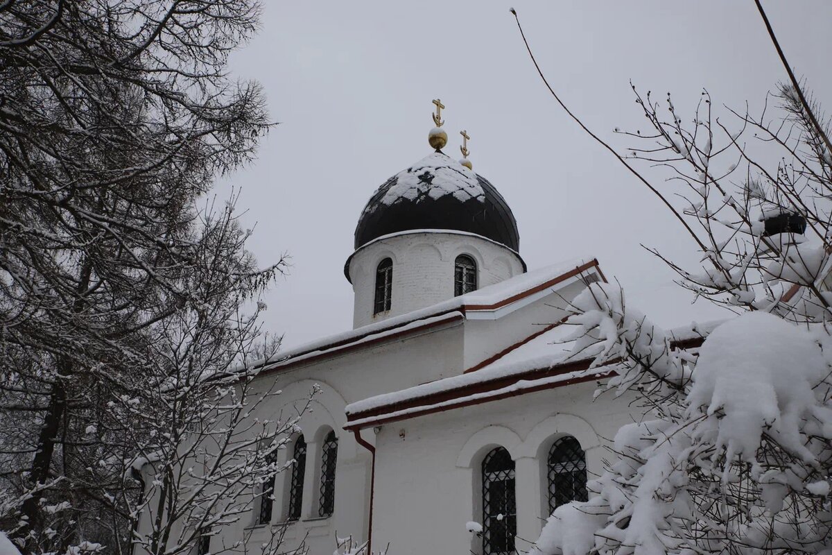 Фото: ИА "Регион 71"