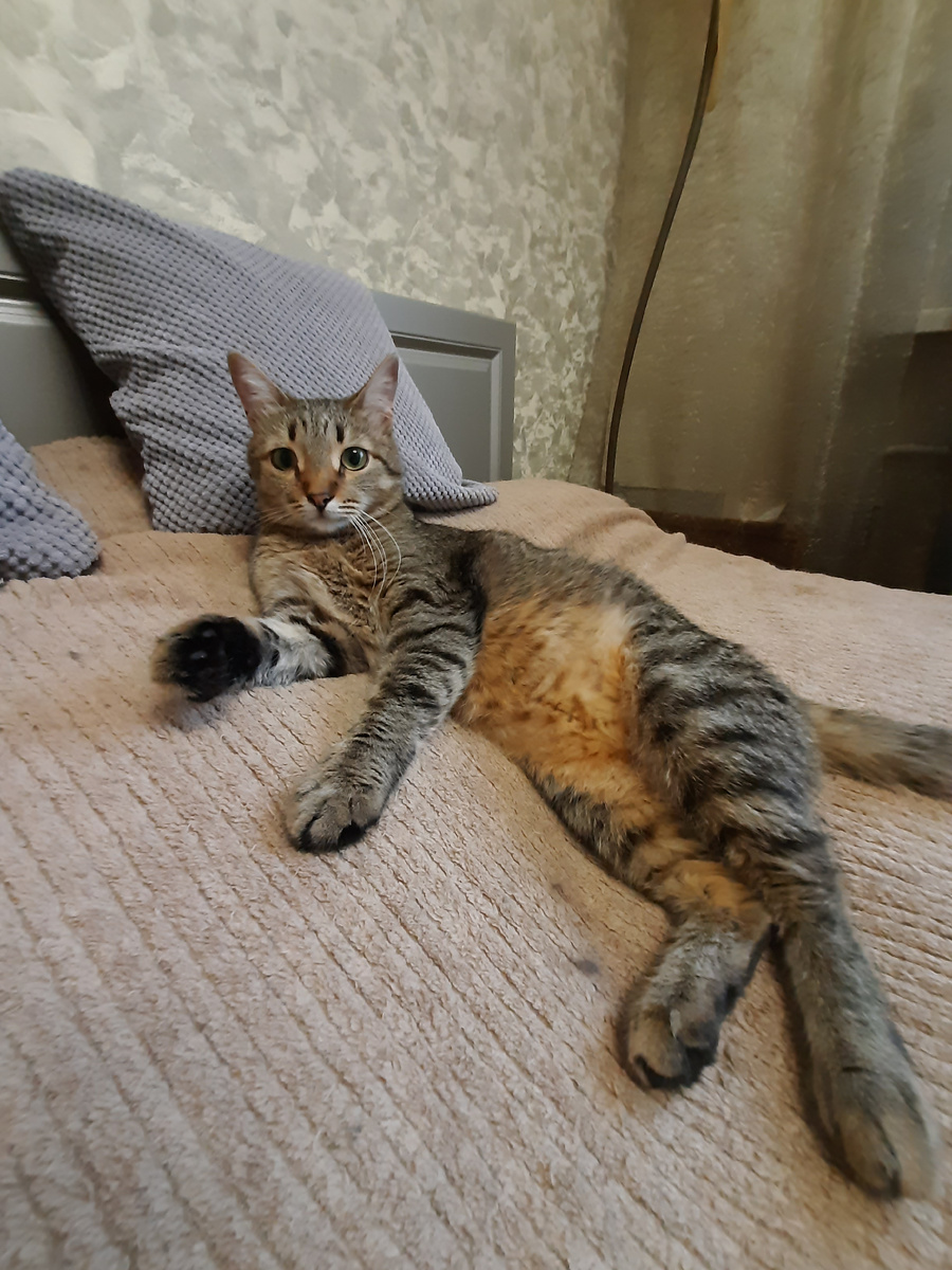 Комфорт превыше всего