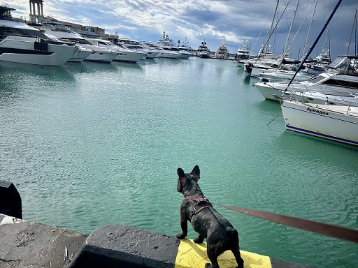    Фото Н.Николаевой Василий Шеин