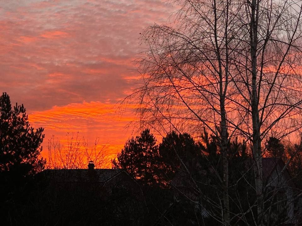 фото с тг-канала Е Иолтуховской