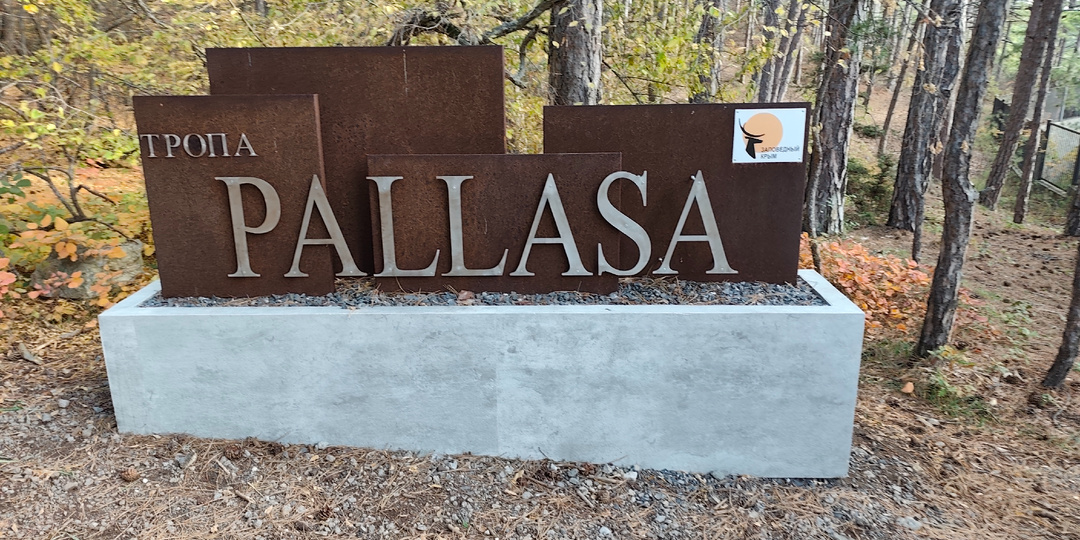 Тропа Палласа в Ялте КРЫМ 2025