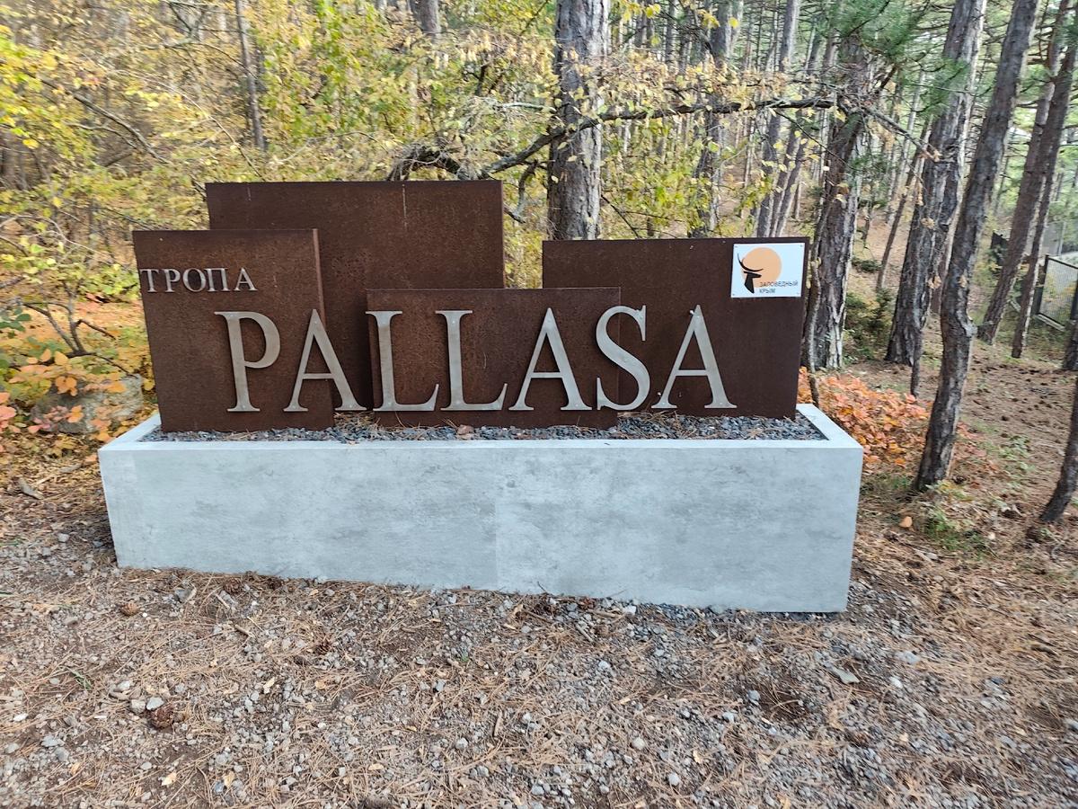 Когда кажется, что о Ялте и ее окрестностях известно все, находятся места, хранящие подлинную тайну. Одно из них — Тропа Палласа, путь, который не ведет к переполненным пляжам, а приглашает в путешествие во времени, к истокам научного изучения Крыма. Это маршрут для вдумчивых путешественников, ценящих природу и красивые виды.