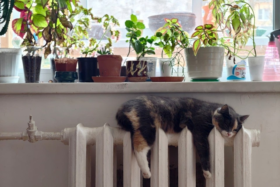    Ликвидировать аварию смогли раньше срока. Алексей БУЛАТОВ