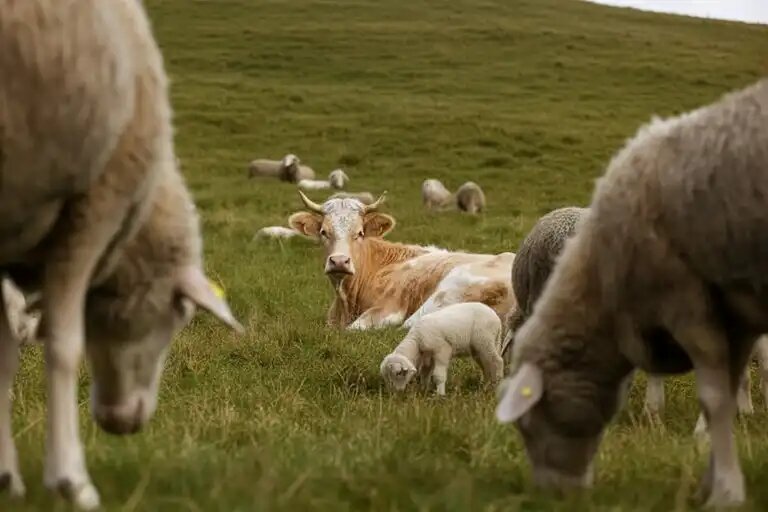    Источник: aifstan.info