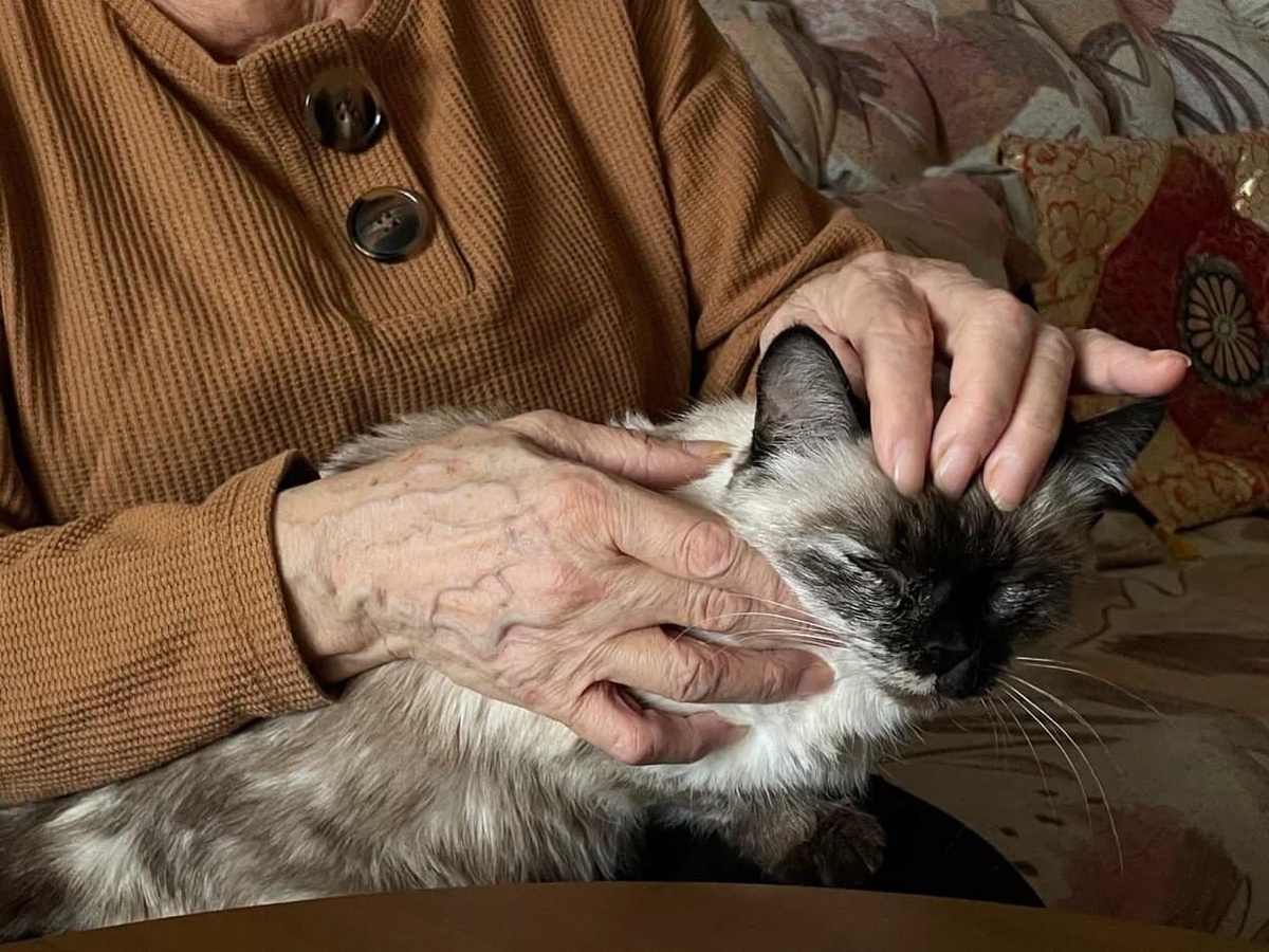    архив samaraonline24.ru