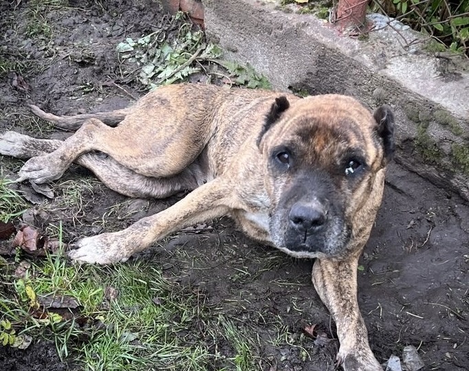 Тюрьма. Голод, холод и авария