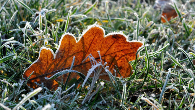 Фото: ru.pinterest.com