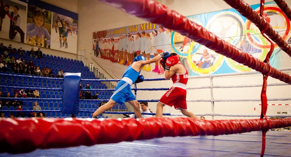    Всероссийский турнир по боксу в Ивантеевке / Медиасток.рф