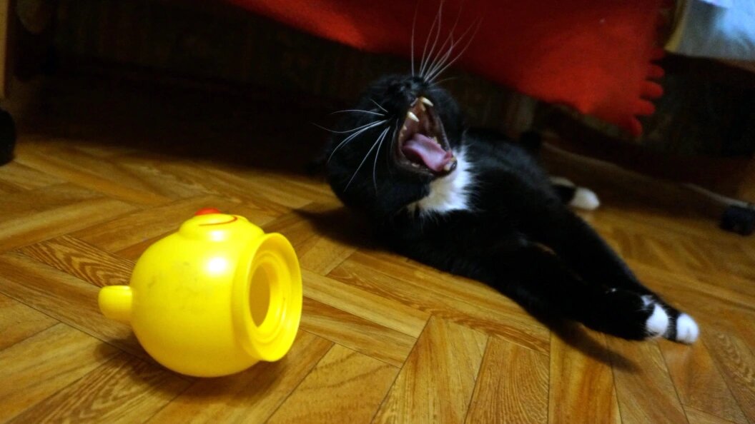    фото: Царьград