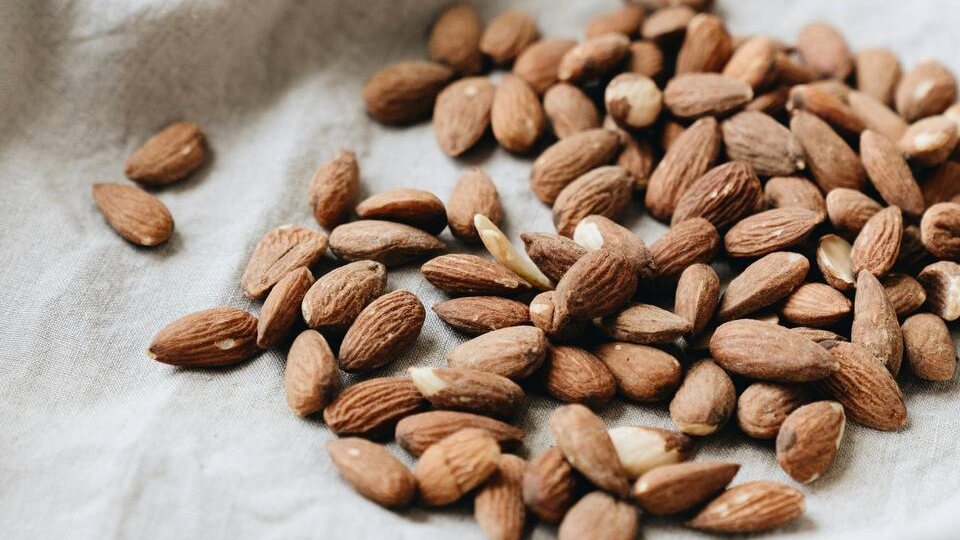 🎓 Жиры и гормоны