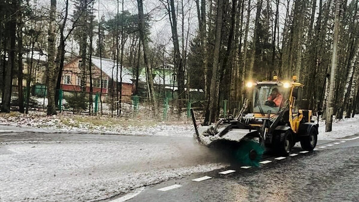    Фото: Комитет по благоустройству Санкт-Петербурга.