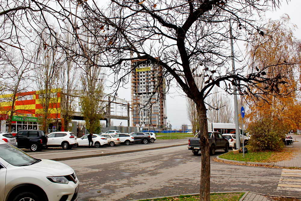 Листайте вправо, чтобы увидеть больше изображений