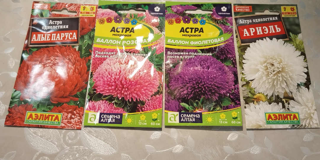 Готовлюсь к следующему сезону. Покупаю семена астр.