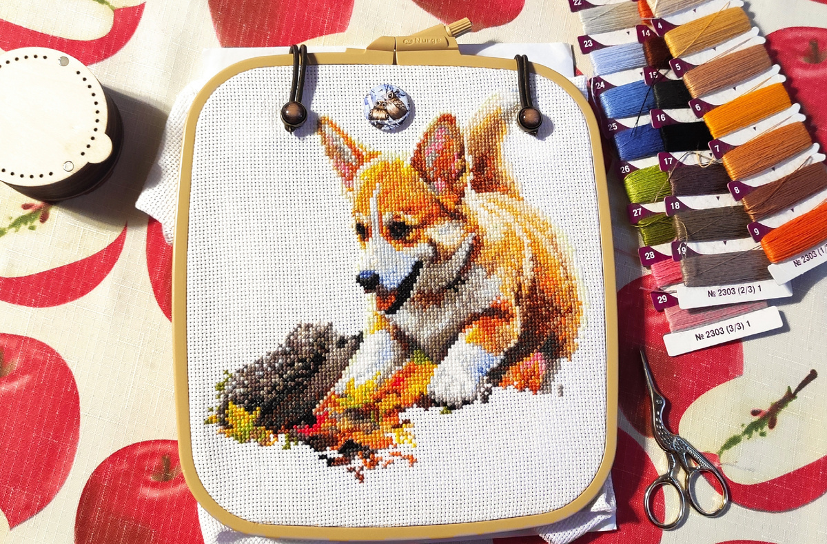 Ëжик такой трогательный и доверчивый