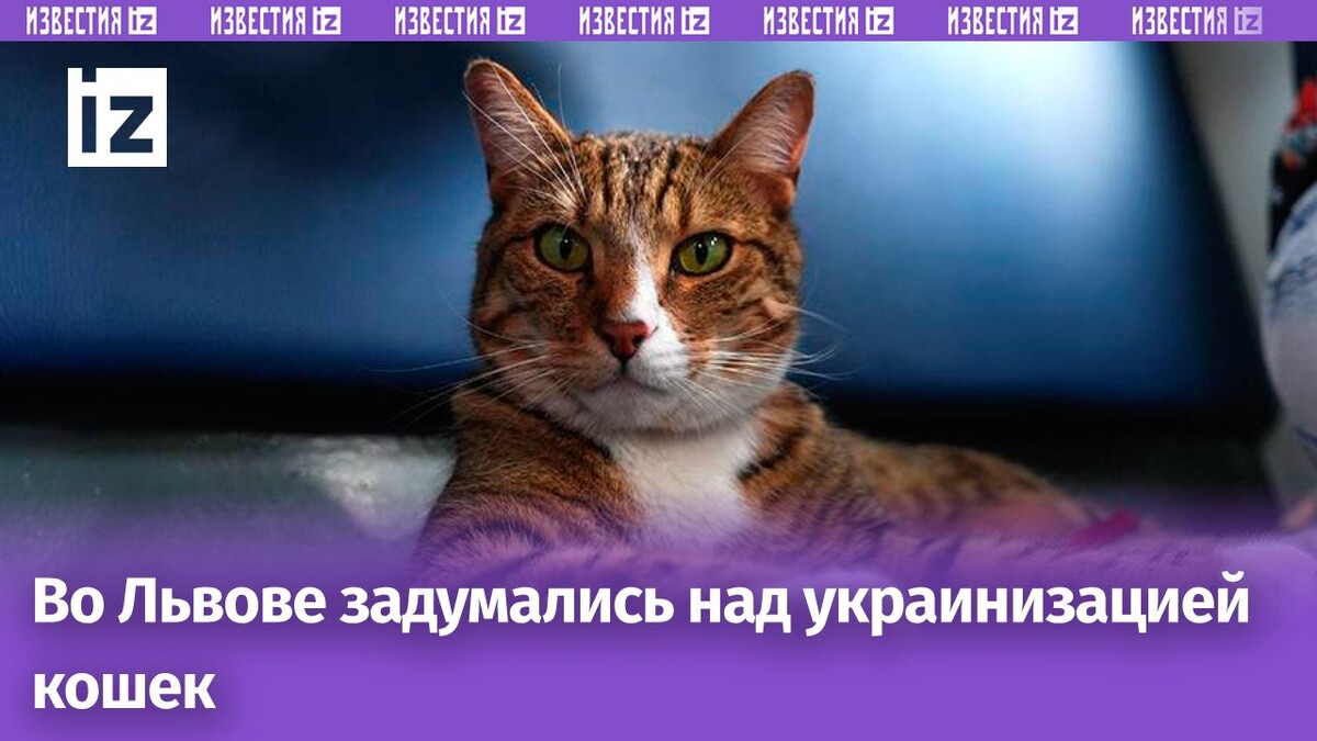 Фото: ИЗВЕСТИЯ/Эдуард Корниенко 