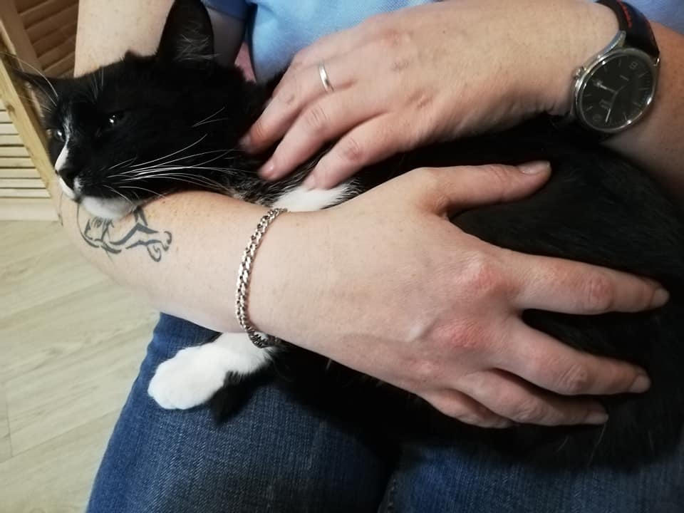 На смотринах. Засмущался