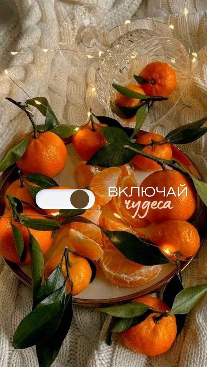https://i.pinimg.com/736x/de/d1/d9/ded1d9acb67932f56f7057266a1ed0f5.jpg