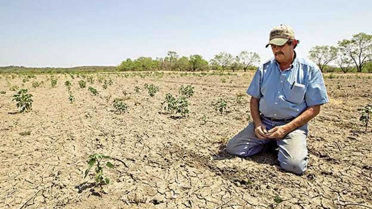 Аграрии: от экспортной державы к импортёру