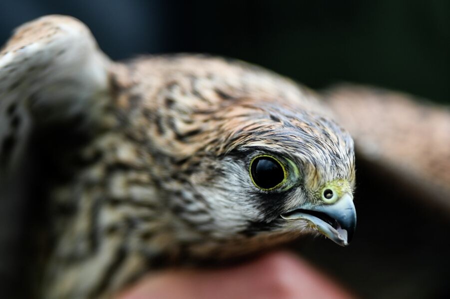     / Источник: © Владимир Астапкович/РИА Новости