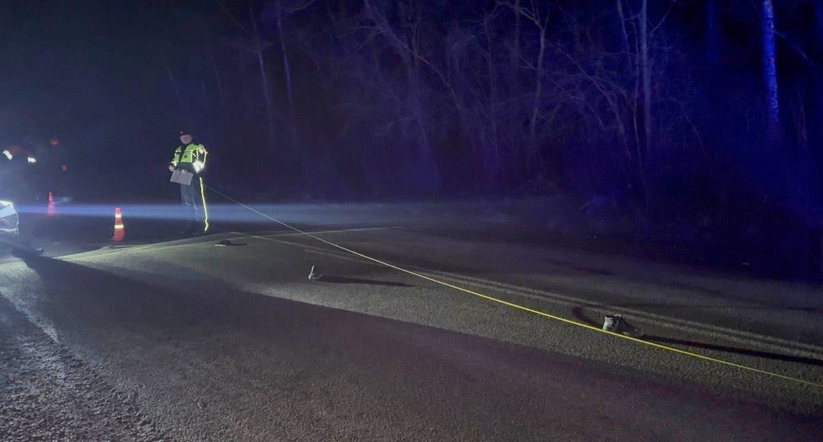     Фото: Госавтоинспекция Свердловской области