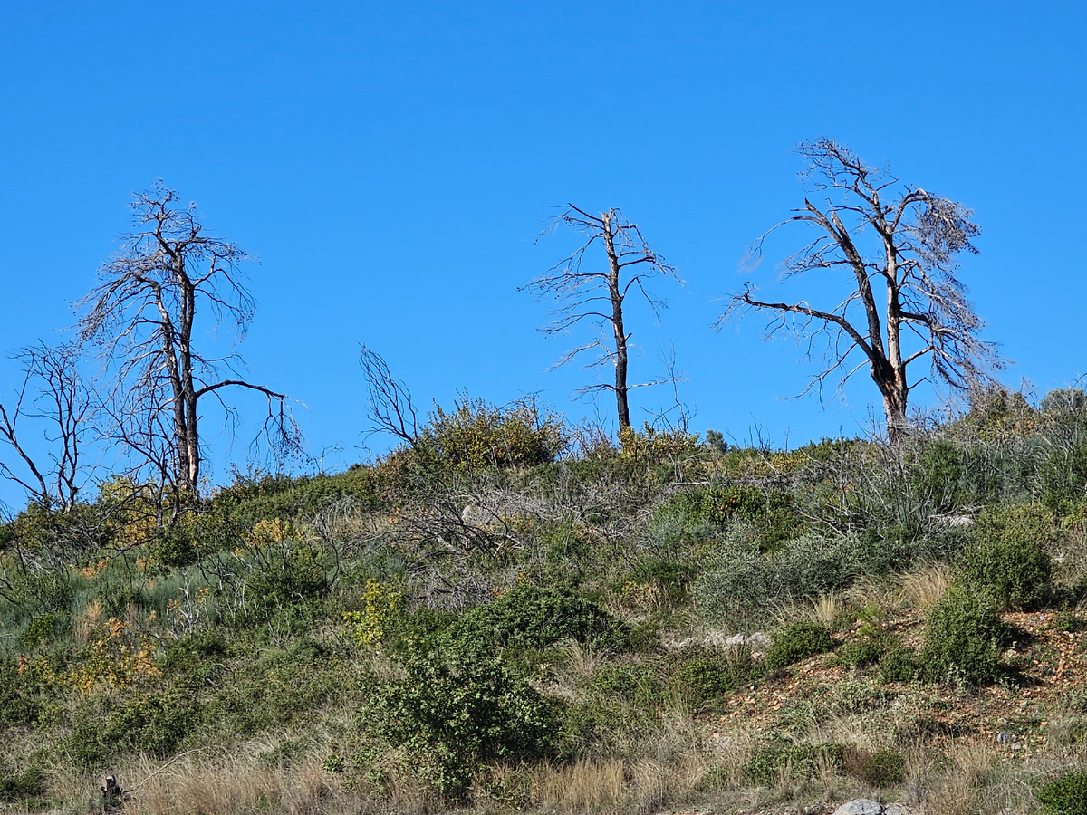 Такая картина здесь повсюду