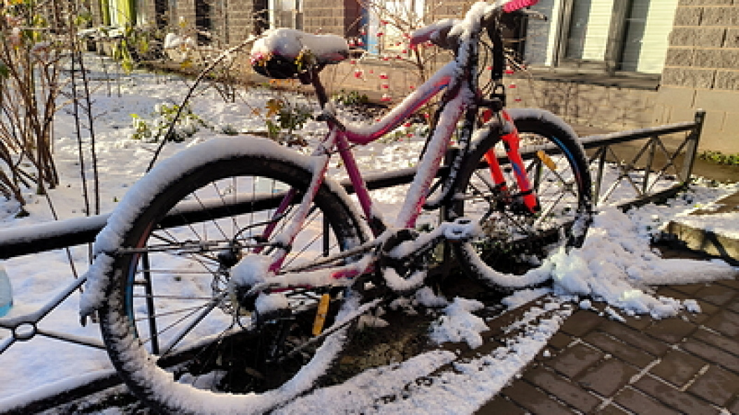    Фото: Maksim Konstantinov/Globallookpress