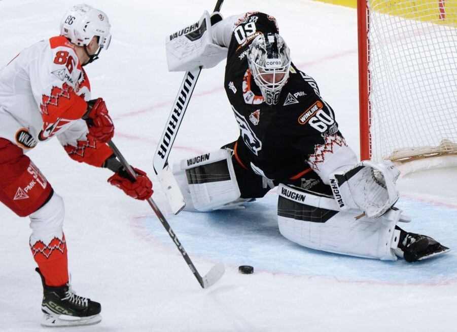     / Источник: © Александр Кондратюк/РИА Новости