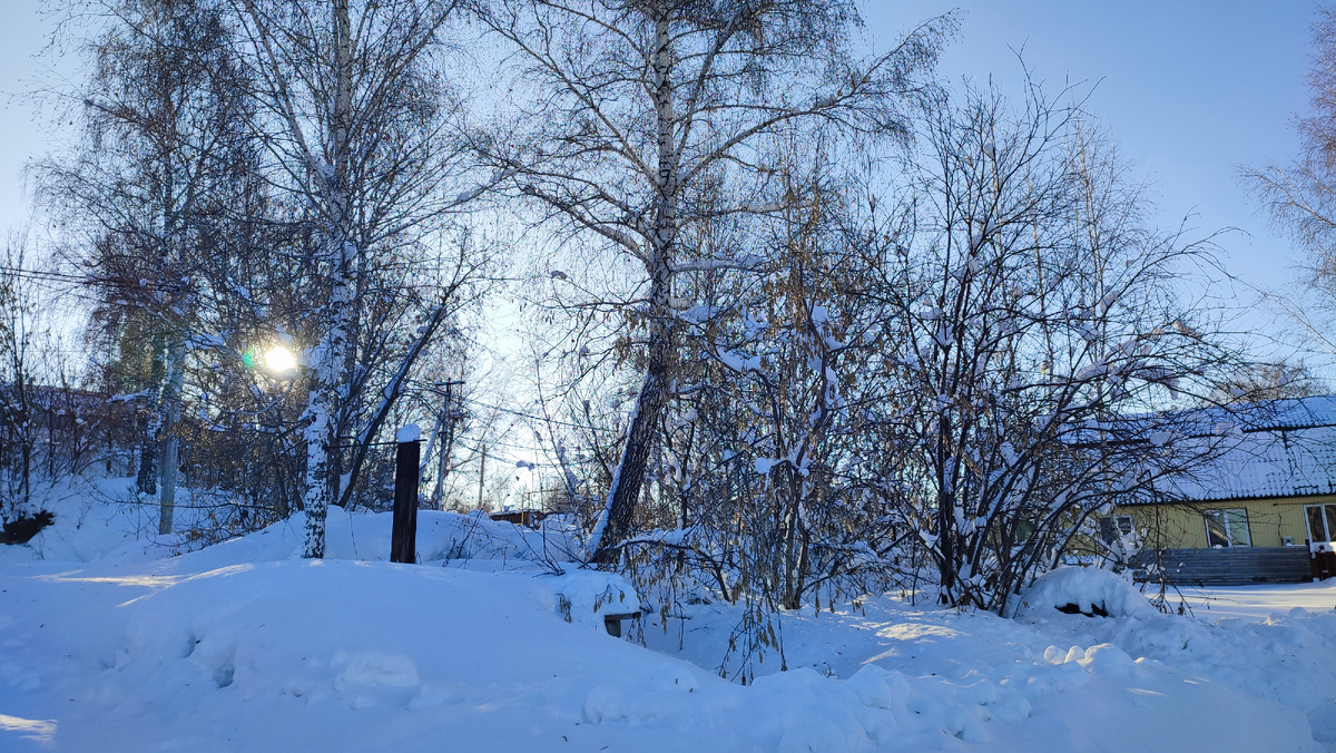 Погода сегодня чудесная