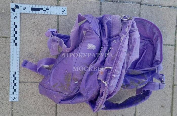 Обложка © Telegram /ПРОКУРАТУРА МОСКВЫ