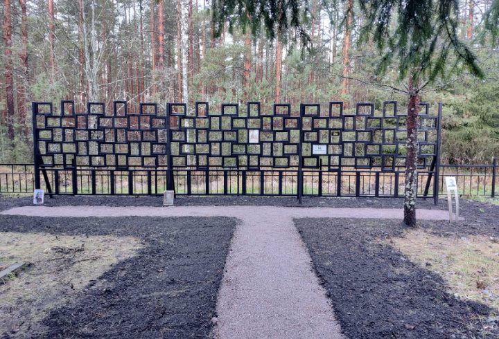 фото: Комитет по молодежной политике Ленинградской области