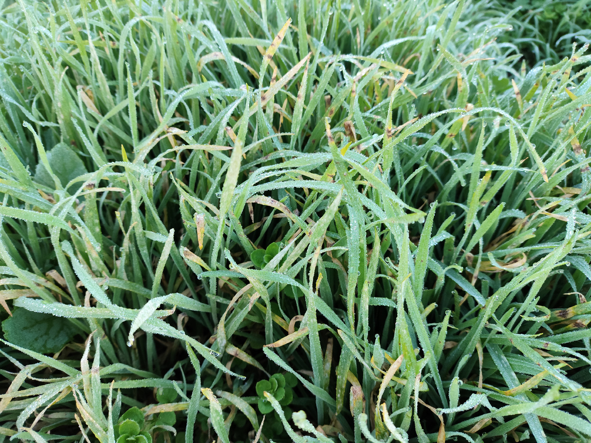 Вода-вода...