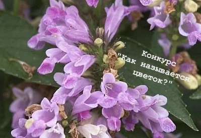 Фото автора канала