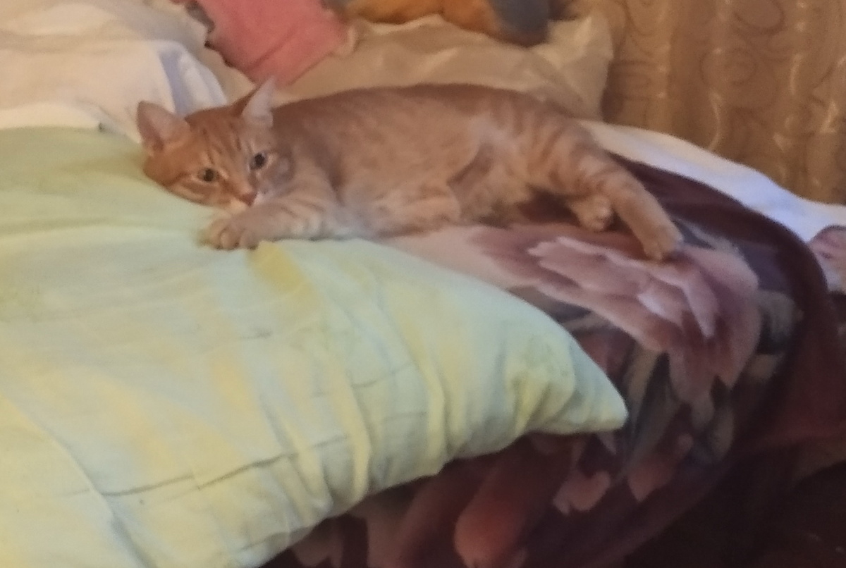 Личное фото