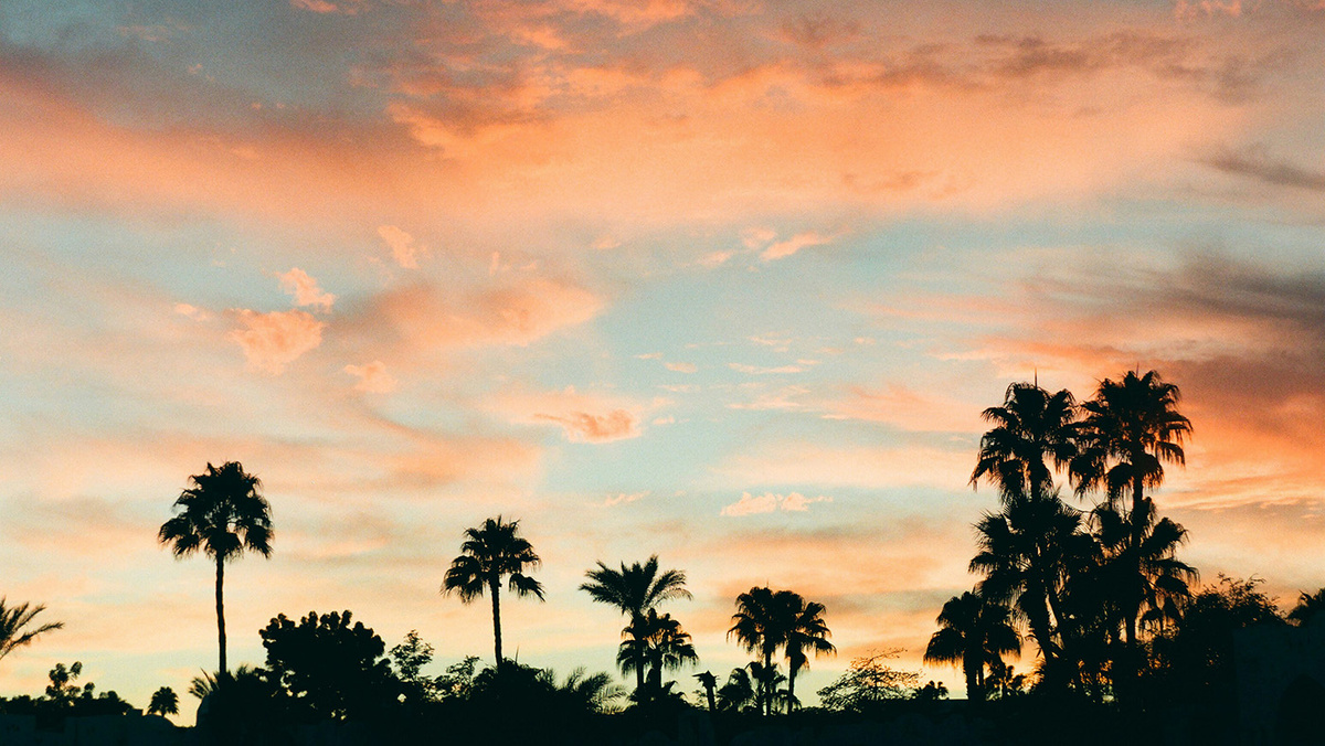   Sophie Gerasimenko / Unsplash