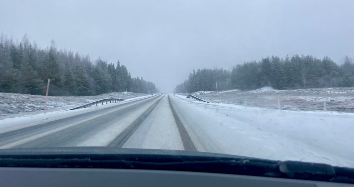    Фото: Госавтоинспекция Петрозаводска / ВК