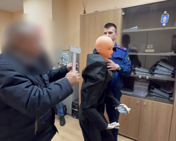     В Курской области задержан 72-летний подозреваемый в убийстве жены и тещи