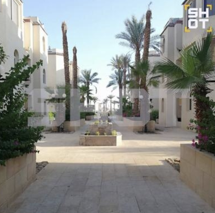    Фото: скриншот Telegram-канал Shot