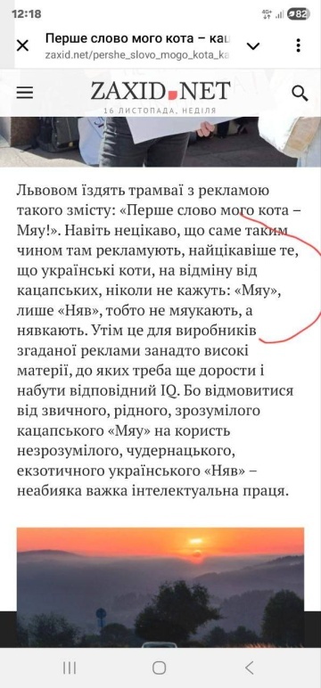    «Няв» против «Мяу»: львовский «интеллектуал» поднял вопрос русскоязычности котов
