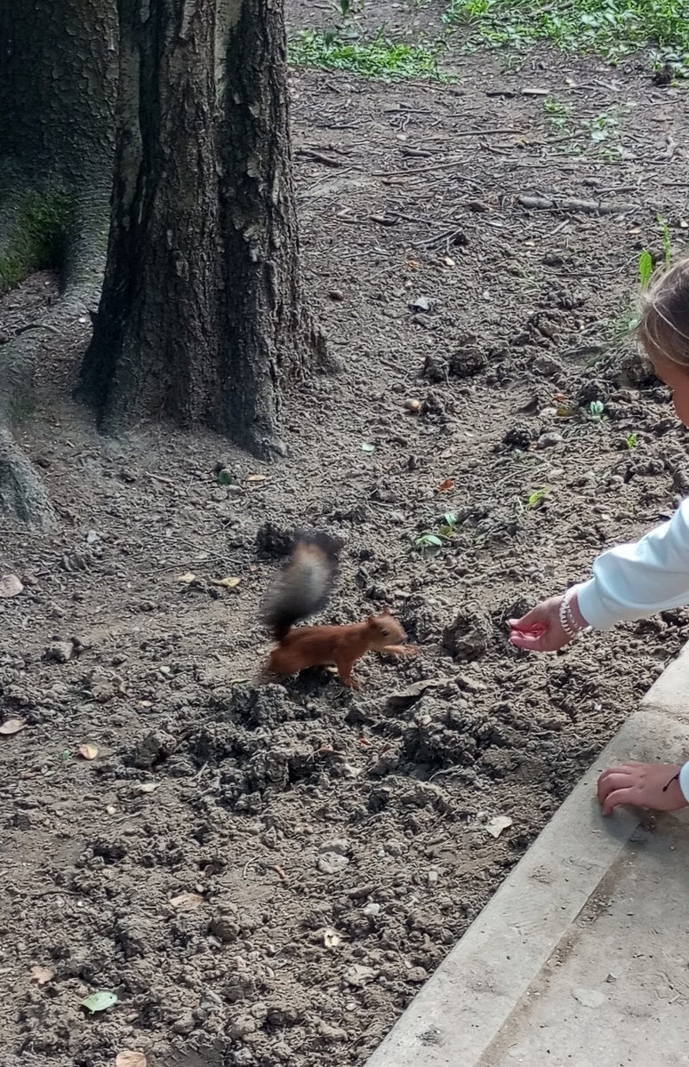 Фото к рассказу "Грязная кровь". Автор рассказа и фото В.А.Галашевсий
