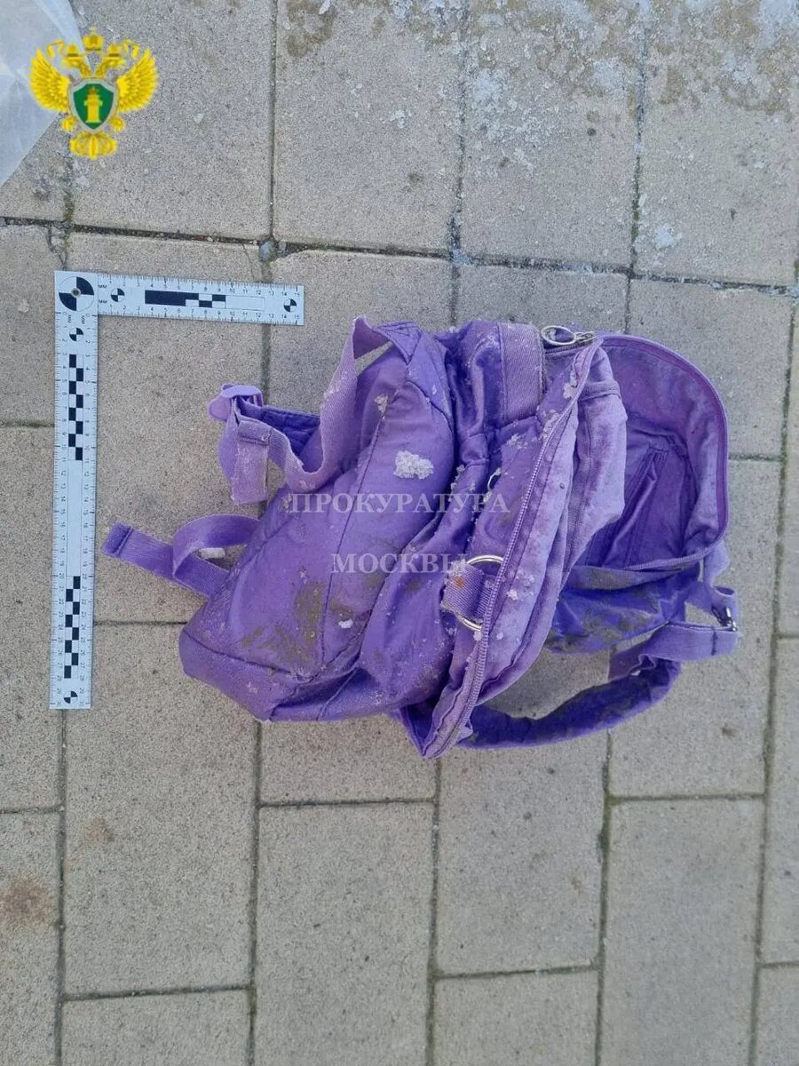    Фото: пресс-служба прокуратуры Москвы