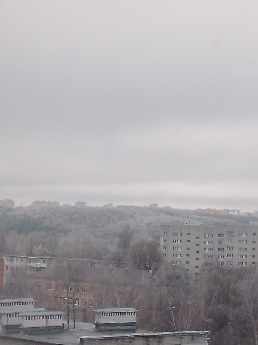 Снега нет, но деревья все в инее. Красота!!! 