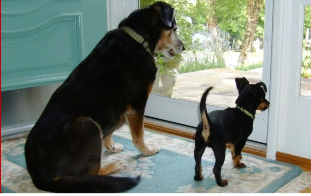 Фото из интернета