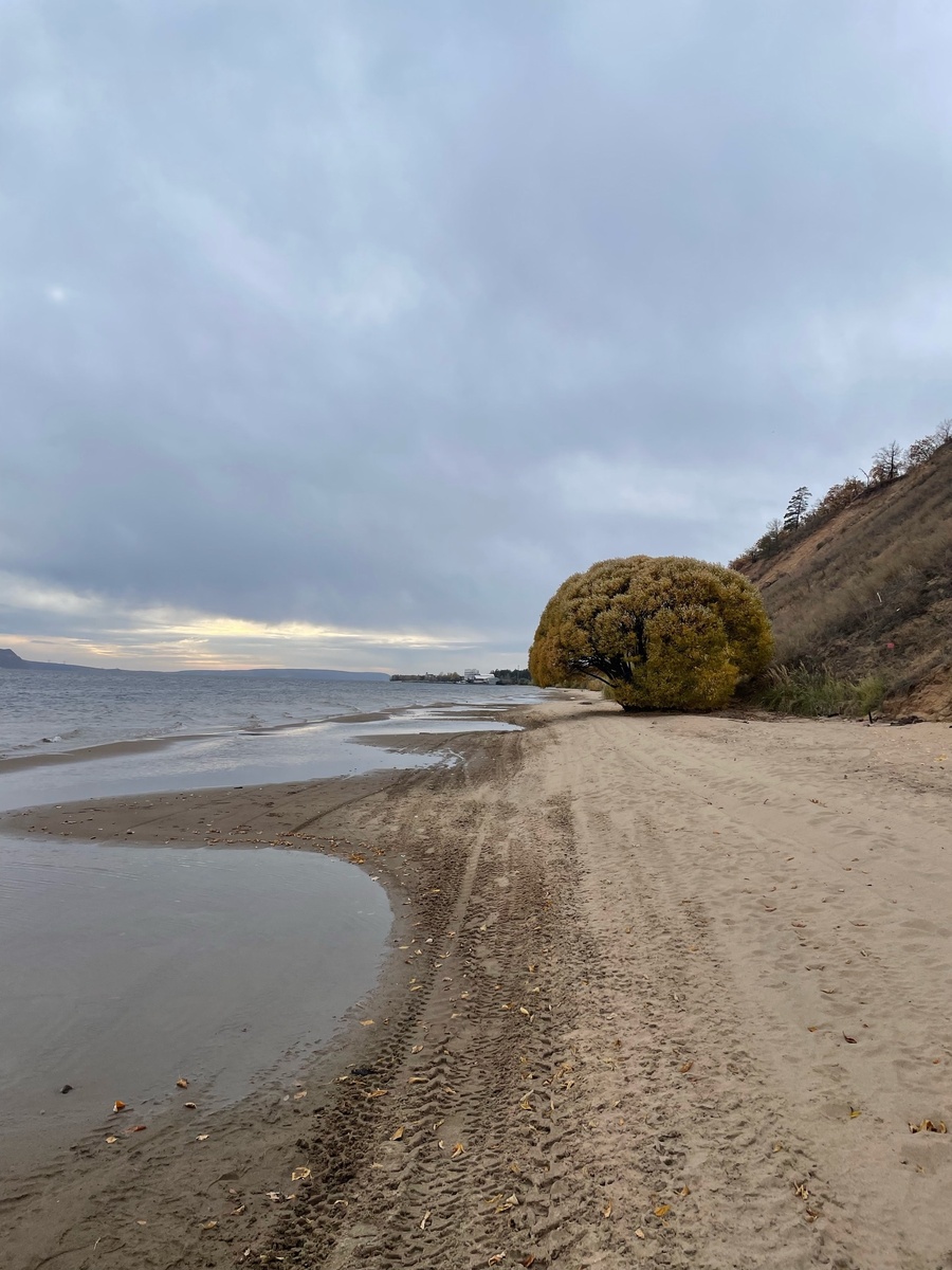 Берег Волги близ Тольятти